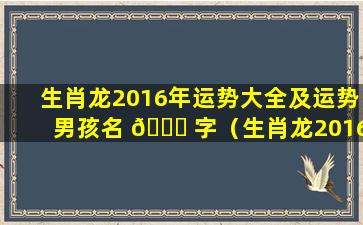 生肖龙2016年运势大全及运势男孩名 🐋 字（生肖龙2016年运势大全及运 🦊 势男孩名字叫什么）